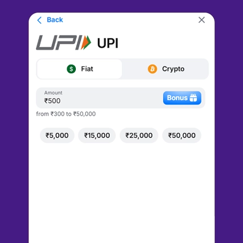 Enter deposit amount for bonus